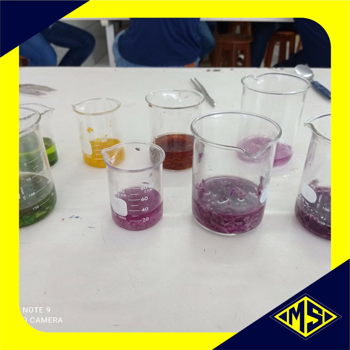 Laboratório de Microbiologia - Extração de Pigmento