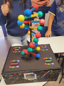Trabalho de Biologia com os alunos do 2° ano - Os alunos desenvolveram protótipos do DNA e RNA com suas bases nitrogenadas.