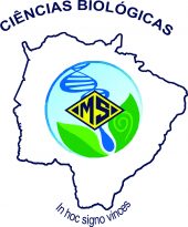 bio editavel bio editavel